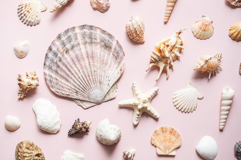 Conchas y Arena: La Artesanía Sostenible que Transforma tu Hogar