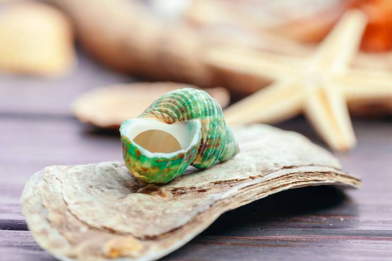 Velas y Jabones Artesanales con Esencia Marina