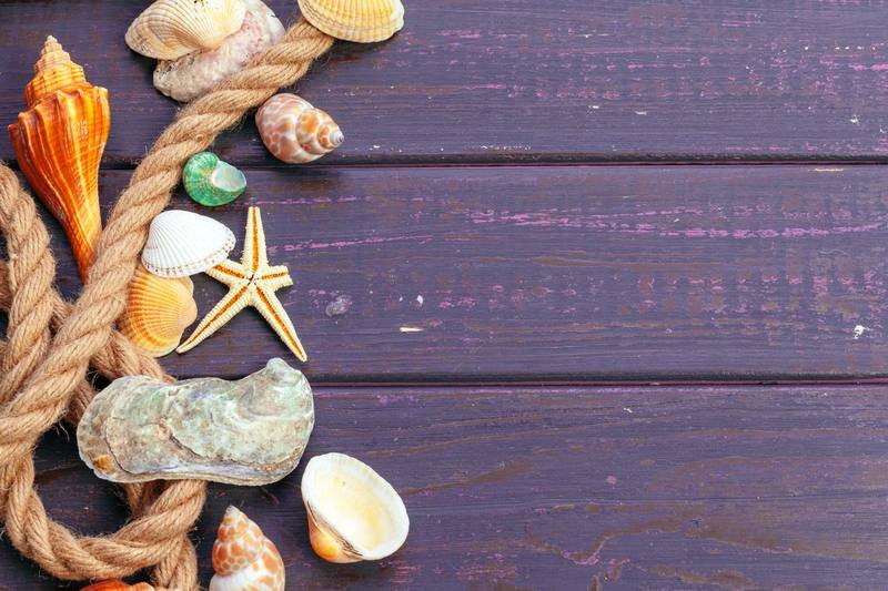 El Poder Oculto de las Conchas: Manualidades Sostenibles con Arena