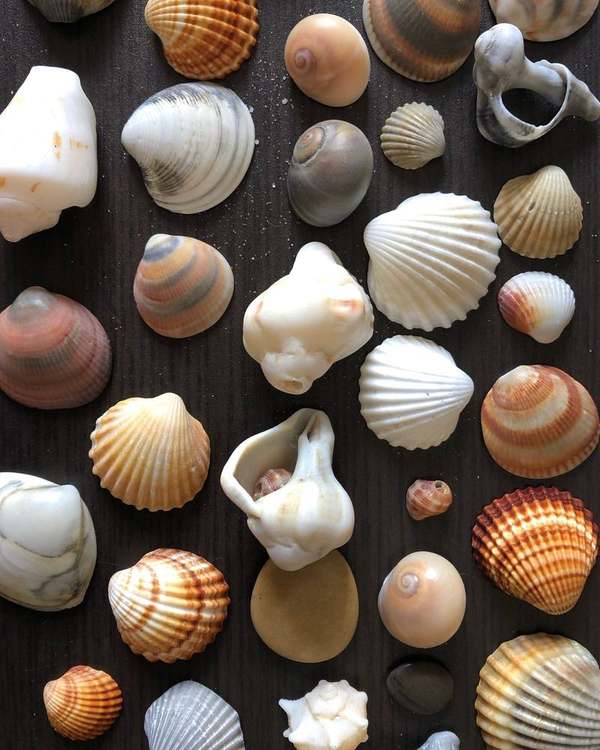 Manualidades de Verano: Decoración Costera con Niños y Familia