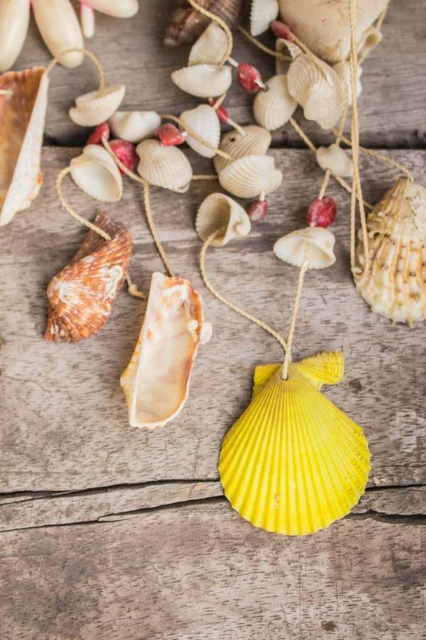 Bodas Marinas DIY: Moldes de Conchas y Estrellas para Detalles