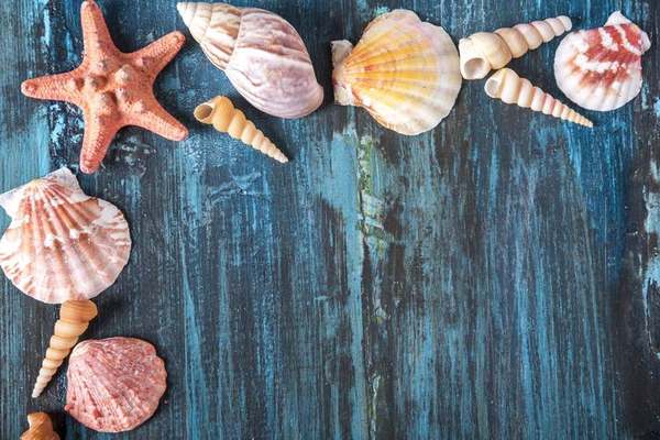 Marco de fotos decorado con conchas y estrellas de mar