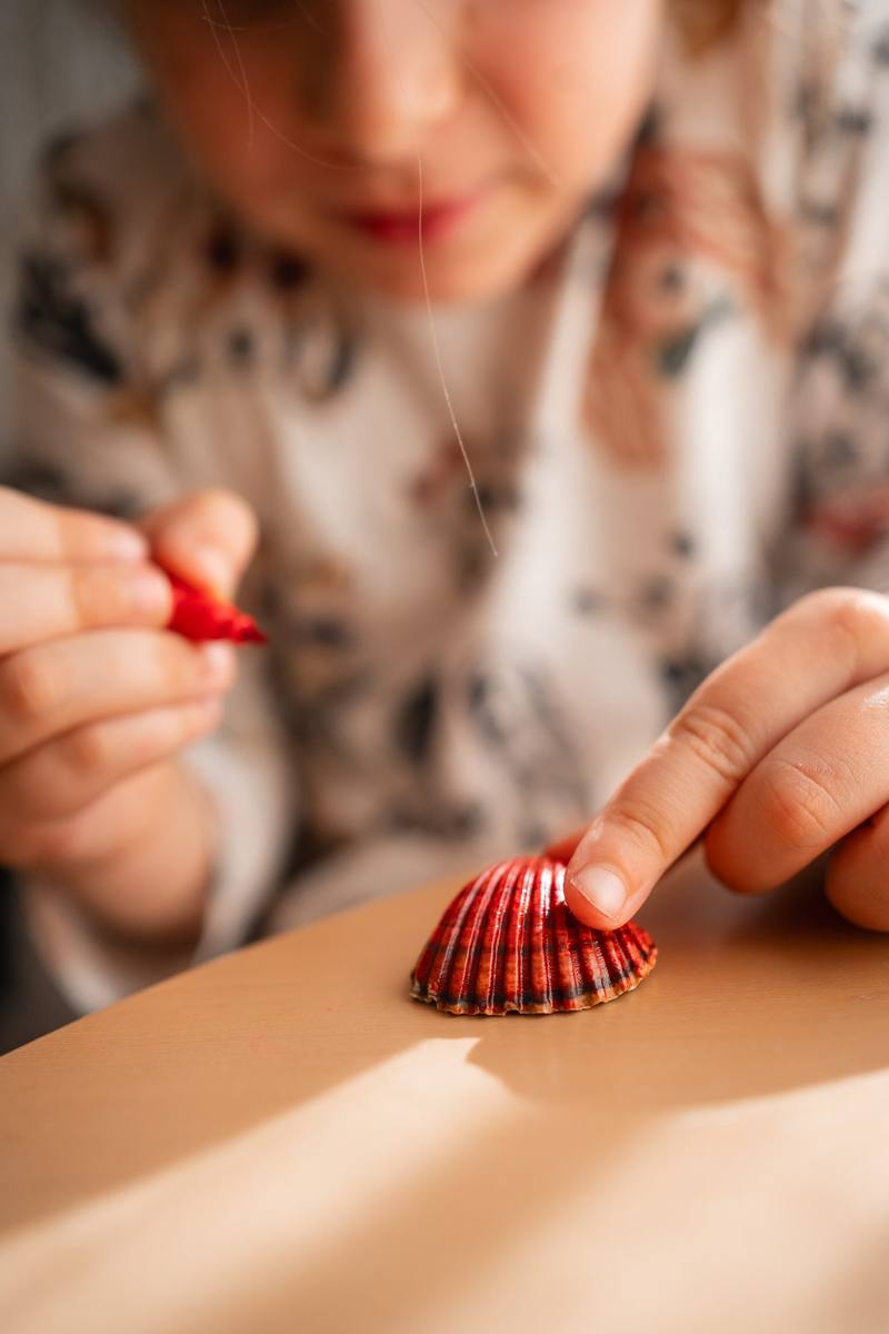 Manualidades con conchas para niños: 8 ideas fáciles