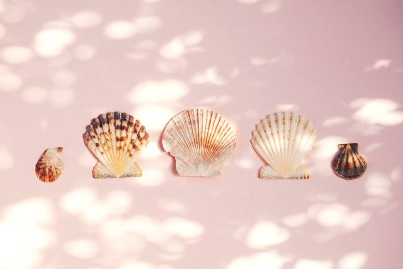 Bienestar y Aromaterapia Marina DIY: Desconecta creando