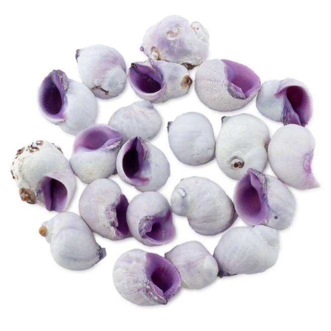 Caracolas cebu beauty