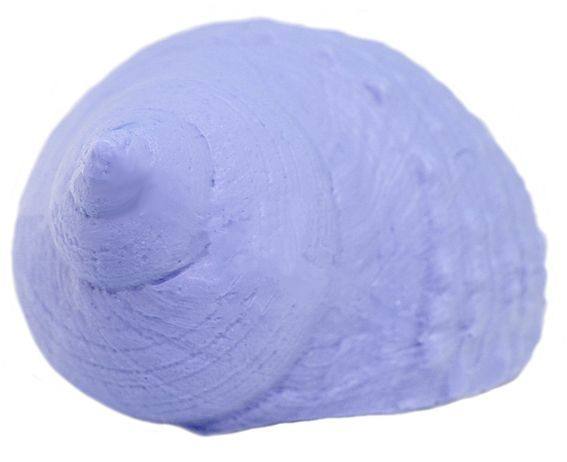 Molde caracol marino para velas