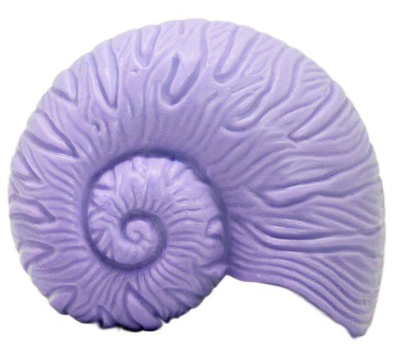 Molde caracola Amonite