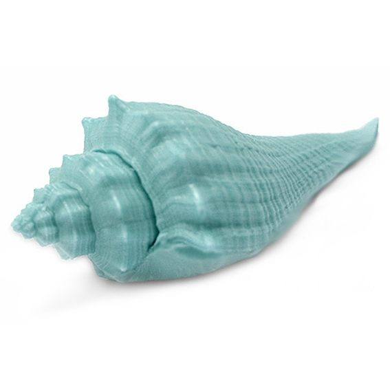 Molde caracola del Caribe