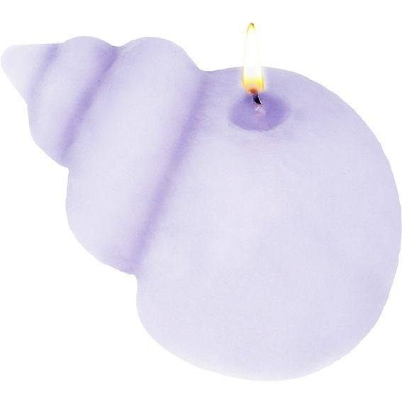 Molde caracola marina grande