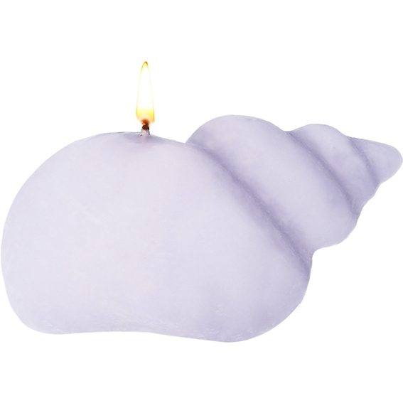 Molde caracola marina grande