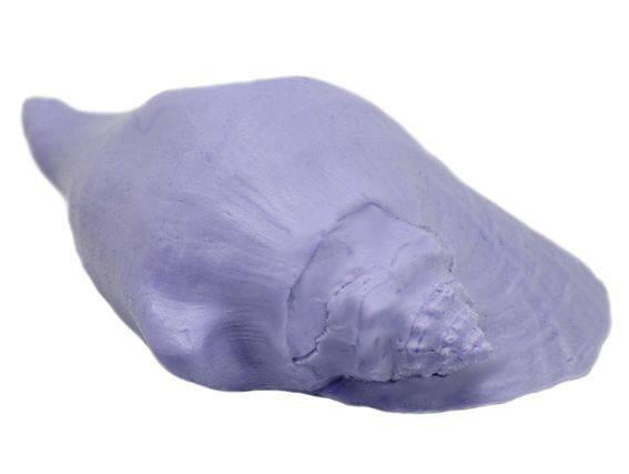 Molde caracola marina natural grande