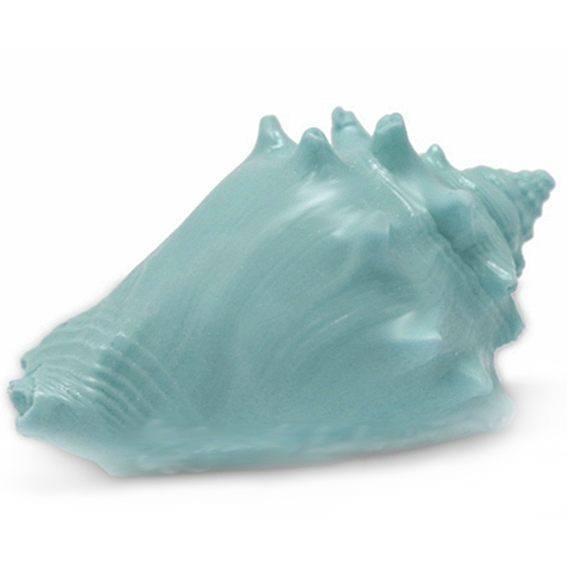 Molde concha marina molusco