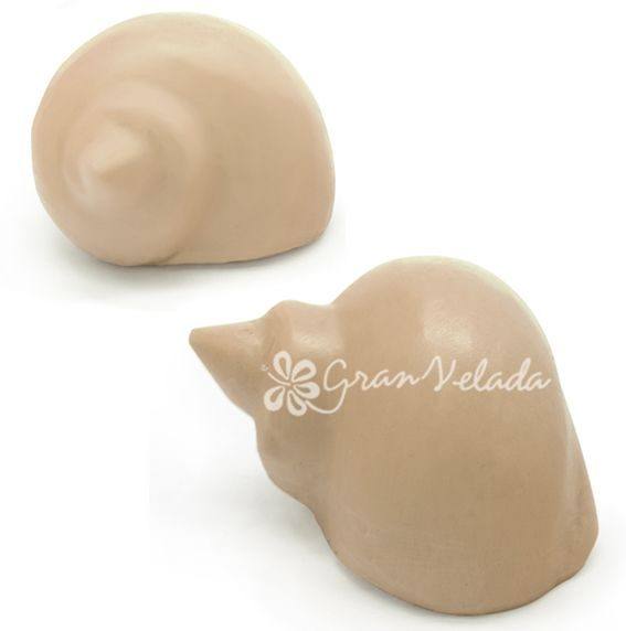 Molde concha marina pequeña