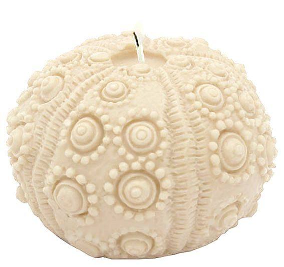 Molde erizo de mar para velas