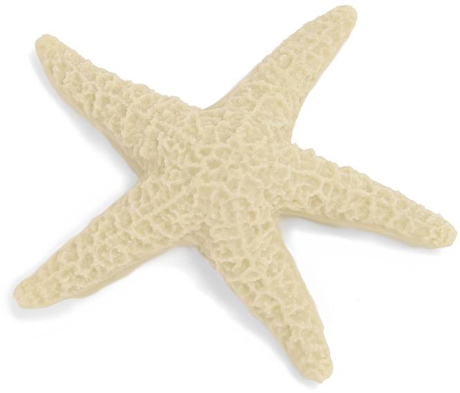 Molde estrella de mar asteroidea