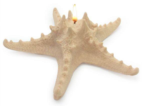 Molde estrella de mar horn 20 cm